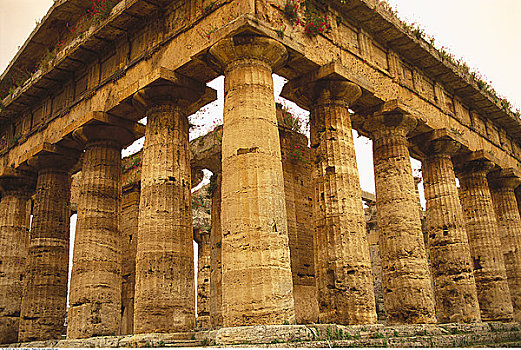希腊,庙宇,帕埃斯图姆,意大利