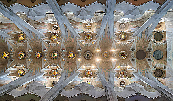 天花板,拱顶,神圣家族教堂,教堂,巴塞罗那,加泰罗尼亚,西班牙,欧洲