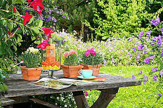 花园桌,夏天,明亮,花,花园,平台