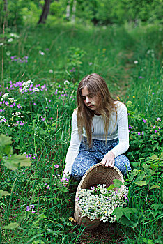 少女,摘花,草地