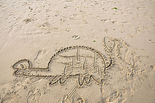 沙滩乌龟画