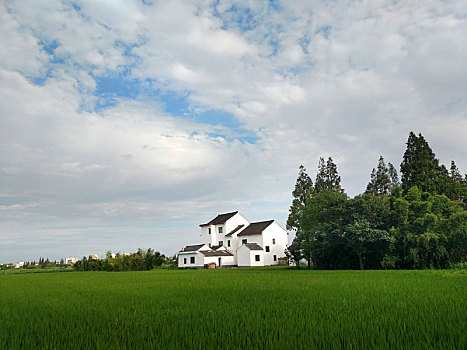 田园风光,乡村美景