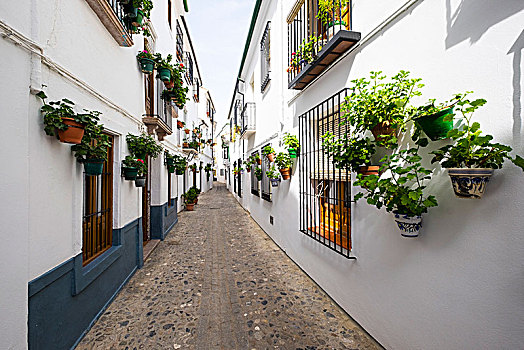 白色,建筑,传统,安达卢西亚,装饰,别墅,附近,中心,科多巴,南方,西班牙