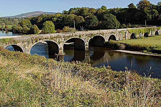 桥,上方,河,靠近,伦斯特,区域,基尔肯尼郡,爱尔兰