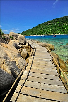 泰国,龟岛,天堂岛,木板路