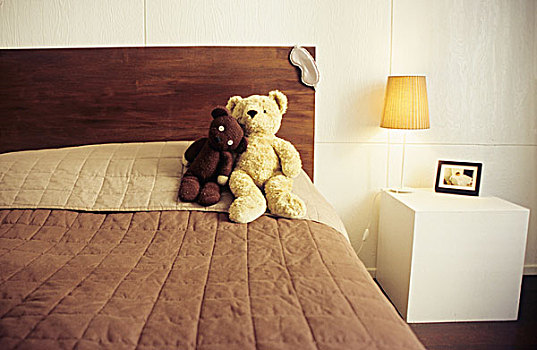 两个,泰迪熊,床上