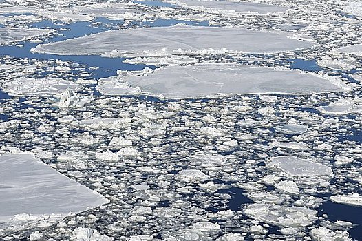 浮冰,威德尔海,南极半岛,南极