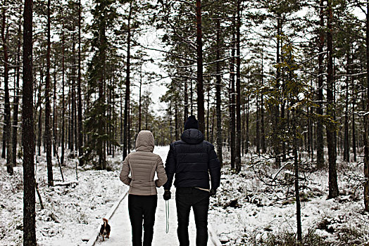情侣,树林,冬天