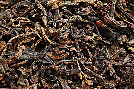 红茶,松,干燥,茶叶