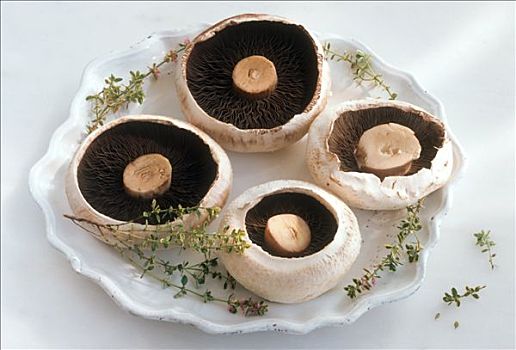 蘑菇头,盘子