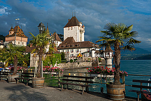 城堡,湖,图恩,伯恩,瑞士,欧洲