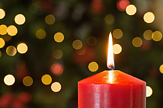 聚焦,红色,圣诞蜡烛