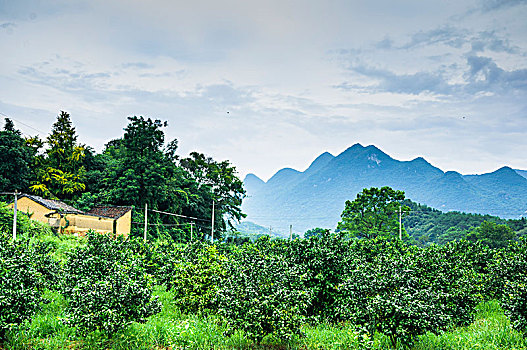 山岭风光