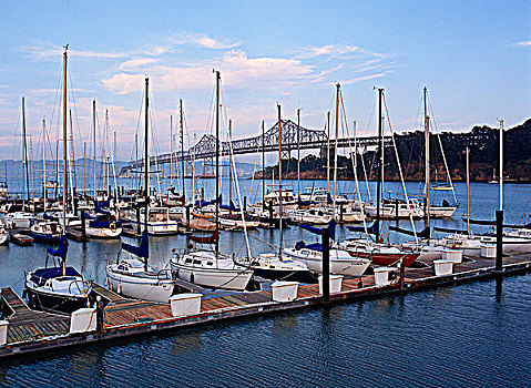 游艇俱乐部,海湾大桥,旧金山