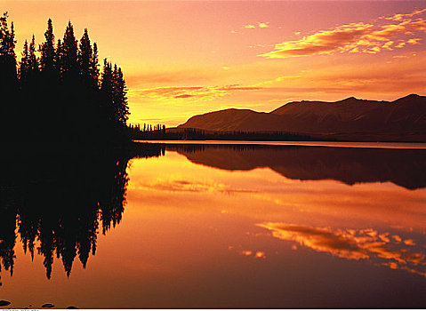日落,上方,山峦,树,育空地区,加拿大