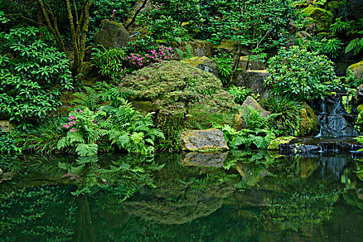 夏天,波特兰,日式庭园,俄勒冈,美国