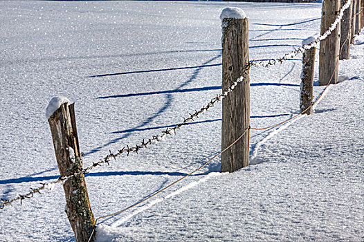 围栏,雪,靠近,乡村,上巴伐利亚,巴伐利亚,德国