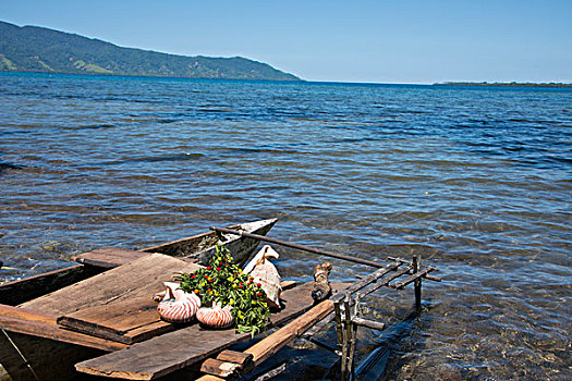 美拉尼西亚,巴布亚新几内亚,岛屿,传统,木质,独木舟,海贝,大幅,尺寸