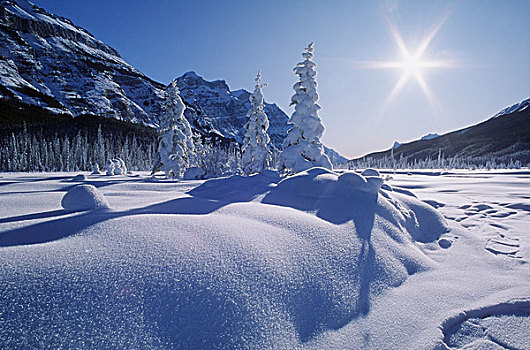 积雪,风景,班芙国家公园,班芙,艾伯塔省,加拿大