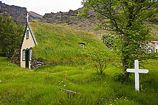 老,教堂,冰岛,屋顶,草