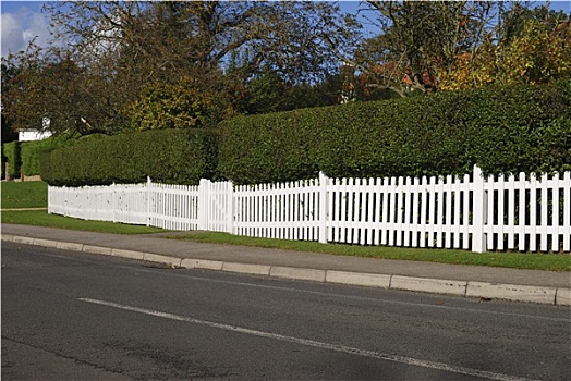 白围栏,树篱,萨里,英格兰