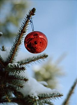 红色,水晶球,圣诞树