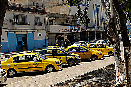 阿尔及利亚,出租车