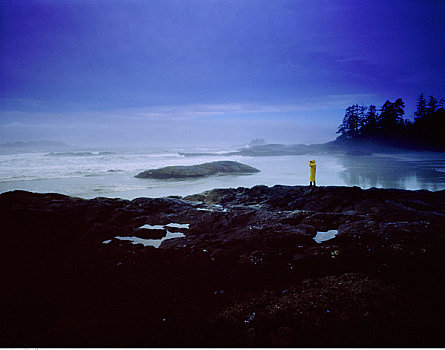 男人,靠近,水,环太平洋国家公园,不列颠哥伦比亚省,加拿大