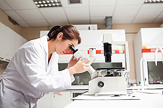 女性,科学家,张望,显微镜