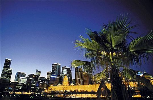 塔楼,天际线,弗林德斯河街站,晚间,棕榈树,墨尔本,维多利亚,澳大利亚