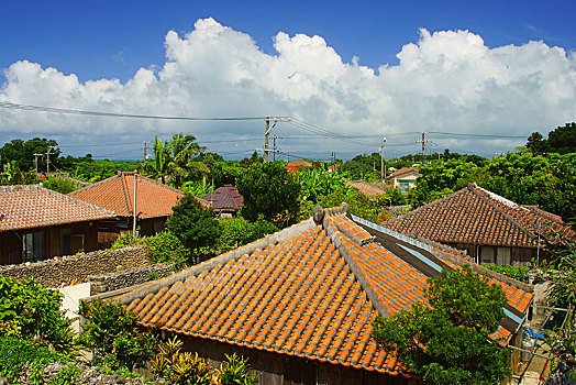 岛屿,冲绳,日本