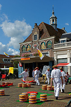 奶酪,市场,北荷兰省,荷兰,欧洲