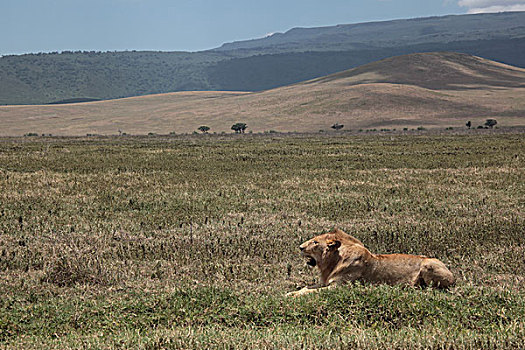 非洲坦桑尼亚风景