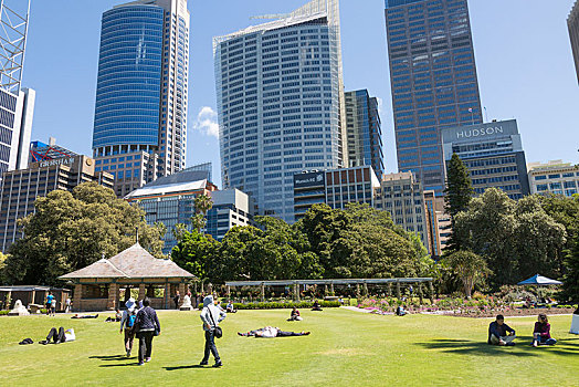 悉尼,市中心,皇家植物园