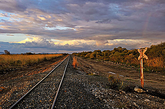 纳米比亚,靠近,温得和克,铁路