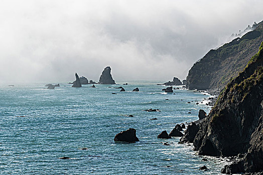 加利福尼亚,太平洋海岸,石头港