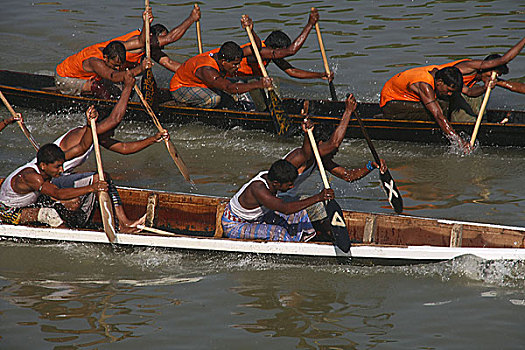 赛船,河,条理,竞争,管理,市场,孟加拉,十月,2009年
