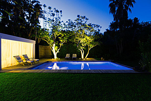 光亮,游泳池,树,后院,黄昏