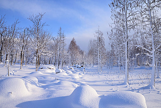 雪景