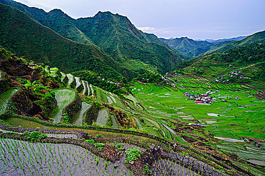 巴塔德,稻米梯田,世界遗产,巴纳韦,吕宋岛,菲律宾