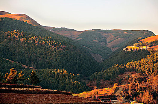 东川红土地