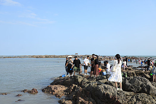 太壮观,万人赶海大军浩浩荡荡登陆太公岛,尽情享受快乐时光