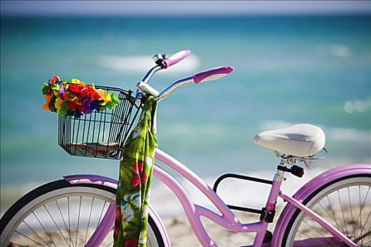 特写,自行车,海滩