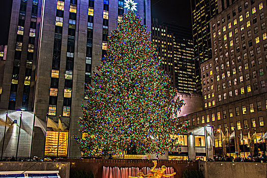 纽约,十二月,圣诞树,洛克菲勒中心,美国,著名