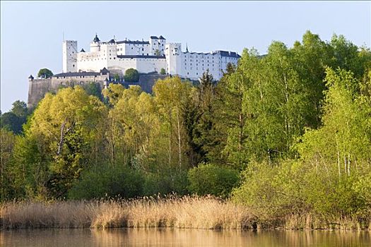堡垒,霍亨萨尔斯堡城堡,水塘,萨尔茨堡,奥地利