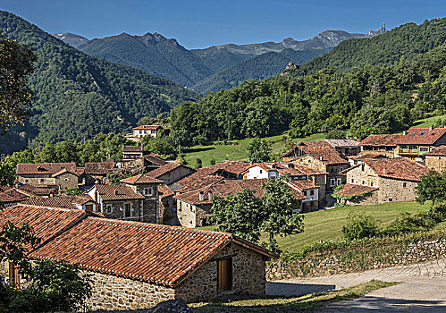 西班牙,国家公园,欧洲,乡村,道路