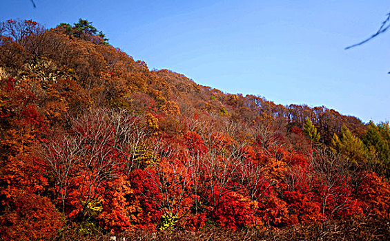 辽宁本溪山水