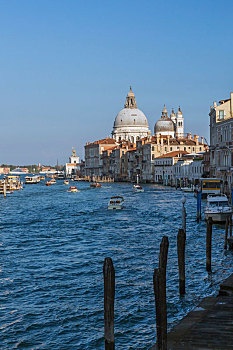 水,出租车,汽艇,大运河,文艺复兴,建筑风格,宫殿,建筑,圣马利亚,行礼,大教堂,威尼斯,威尼托,意大利