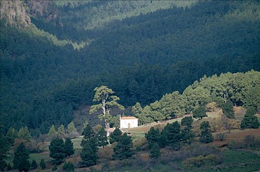 房子,山,斜坡,加纳利群岛