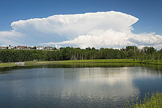 乌云,反射,湖,公园,卡尔加里,艾伯塔省,加拿大